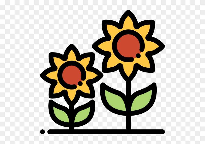Sunflower Free Icon - Flower #1297067
