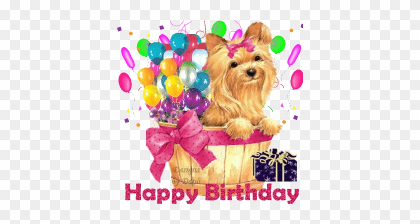 Happy Birthday Surprise - Happy Birthday Images With Yorkie #1297692