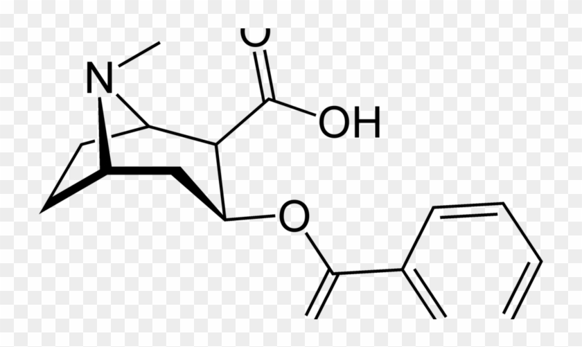 Cocaine Structure #1297840