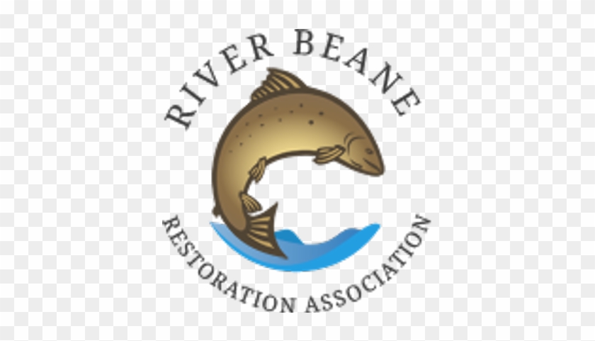 River Beane - Pull Fish Out Of Water #1297871