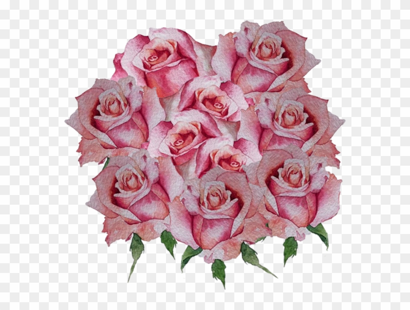 Uma Ilustração Da Coleção Cor De Rosa Livre Png E Psd - Garden Roses #1298069