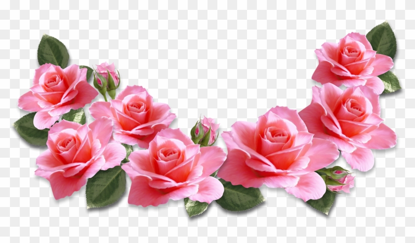 Placas, Criatividade, Molde, Sozinho, Galeria De Clipart, - Valentines Day Pink Roses #1298072