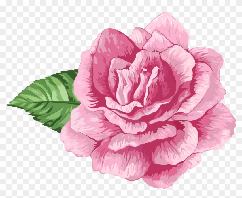 Cabbage Rose Garden Roses Clip Art - Rose #1298119