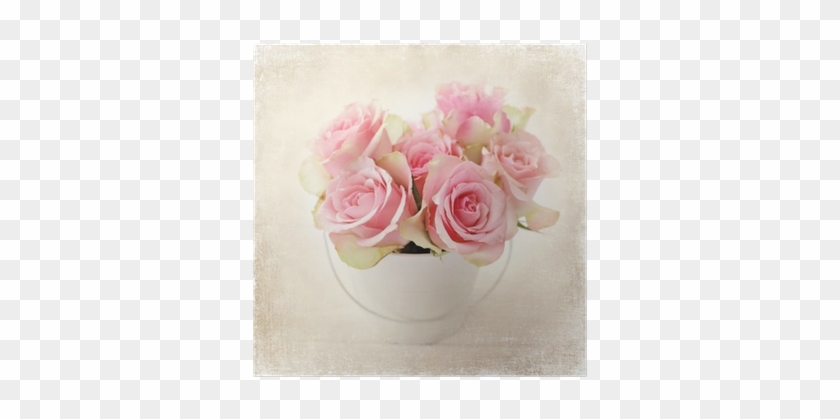 Rosas Cor De Rosa Em Um Vaso • Pixers® - Rose #1298169