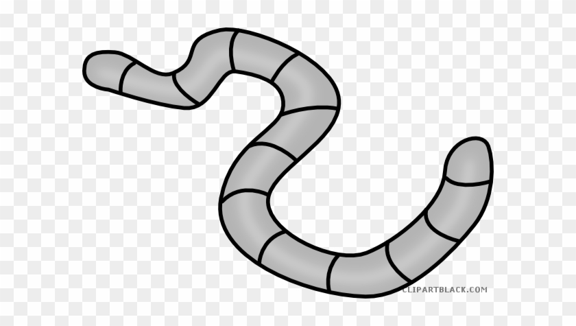 Worm Animal Free Black White Clipart Images Clipartblack - Clip Art #1298174