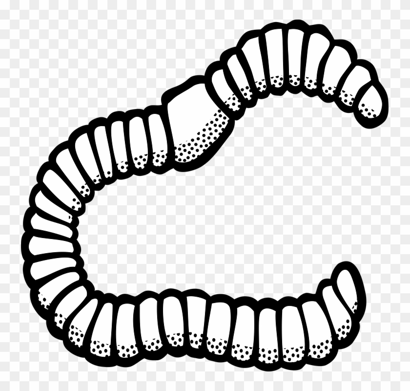 Worms Clipart Vector - Worm Clipart Black And White #1298178