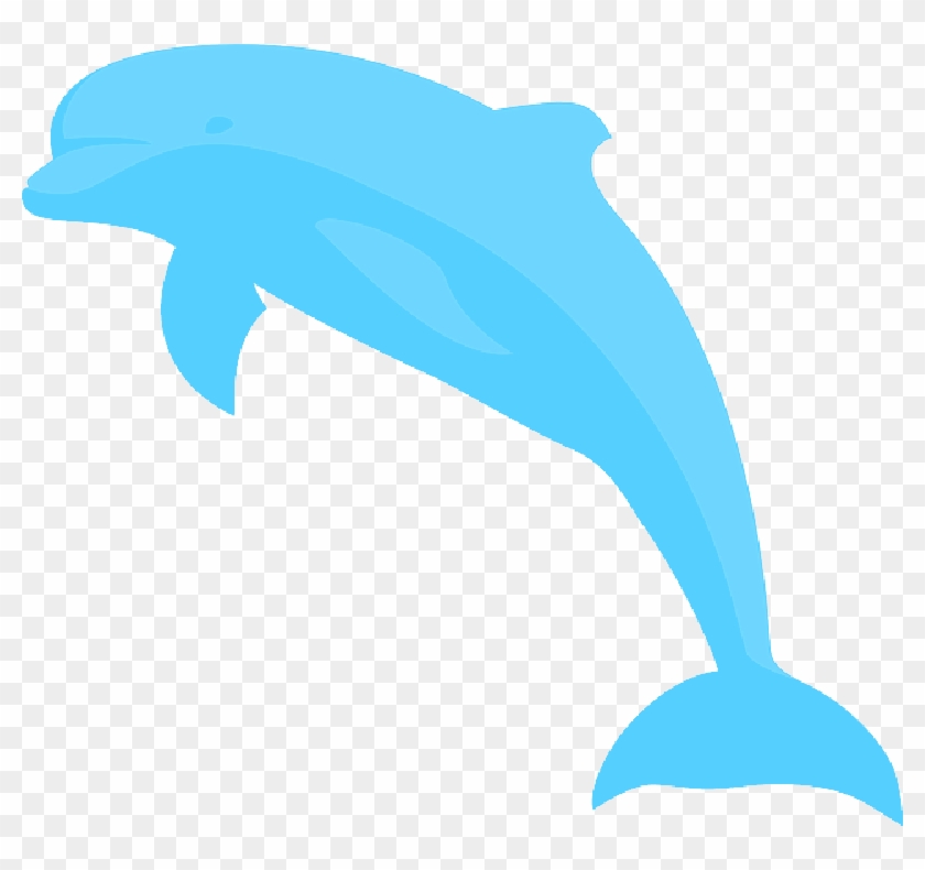 Ocean - Blue Dolphin Drawing #1298541