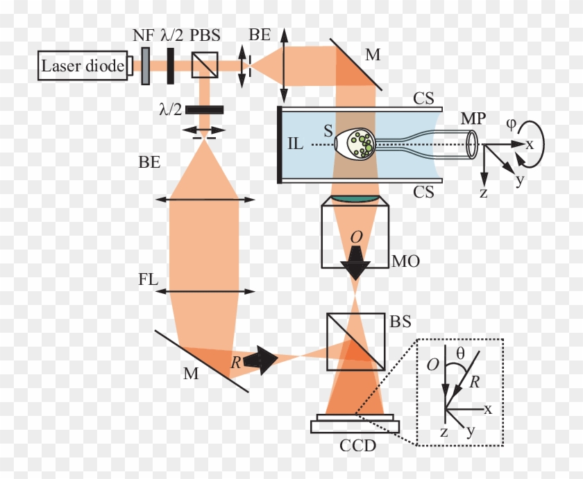 Holographic Microscope For Transmission Imaging - Diagram #1298554