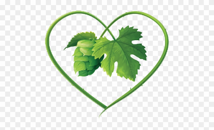 Yorkshire Heart Brewery - Yorkshire Heart Vineyard And Brewery. #1298645