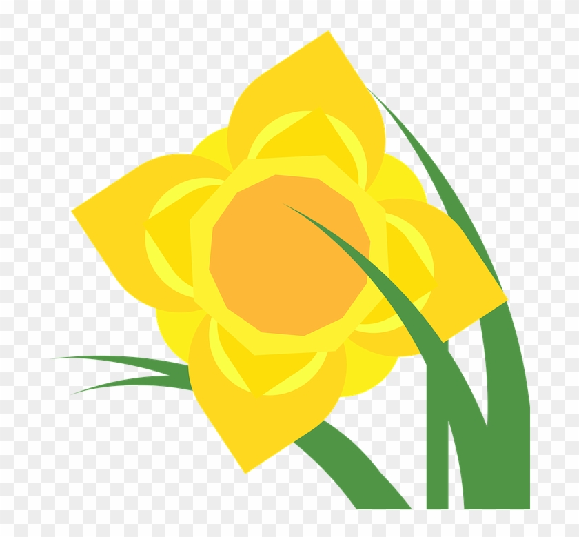 Top Narcissus Wallpaper By Takisha Falls - Daffodil #1298699