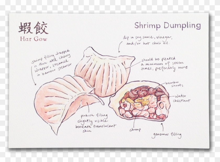 Drawing Of The Dim Sum Style Shrimp Dumplings - Dim Sum #1298948