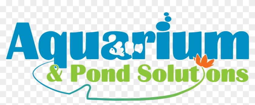 Aquarium And Pond Pond - Aquarium #1299040