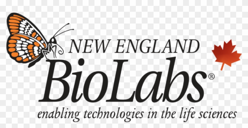 Logo, Primary Neb Logo 51 For Your Designer Logos With - New England Biolabs #1299154