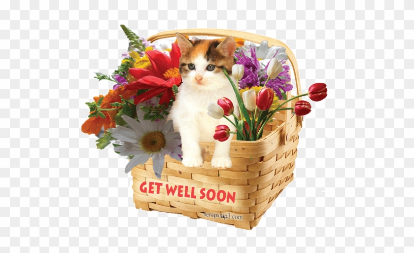 Good Morning Get Well Soon Gif #1300040