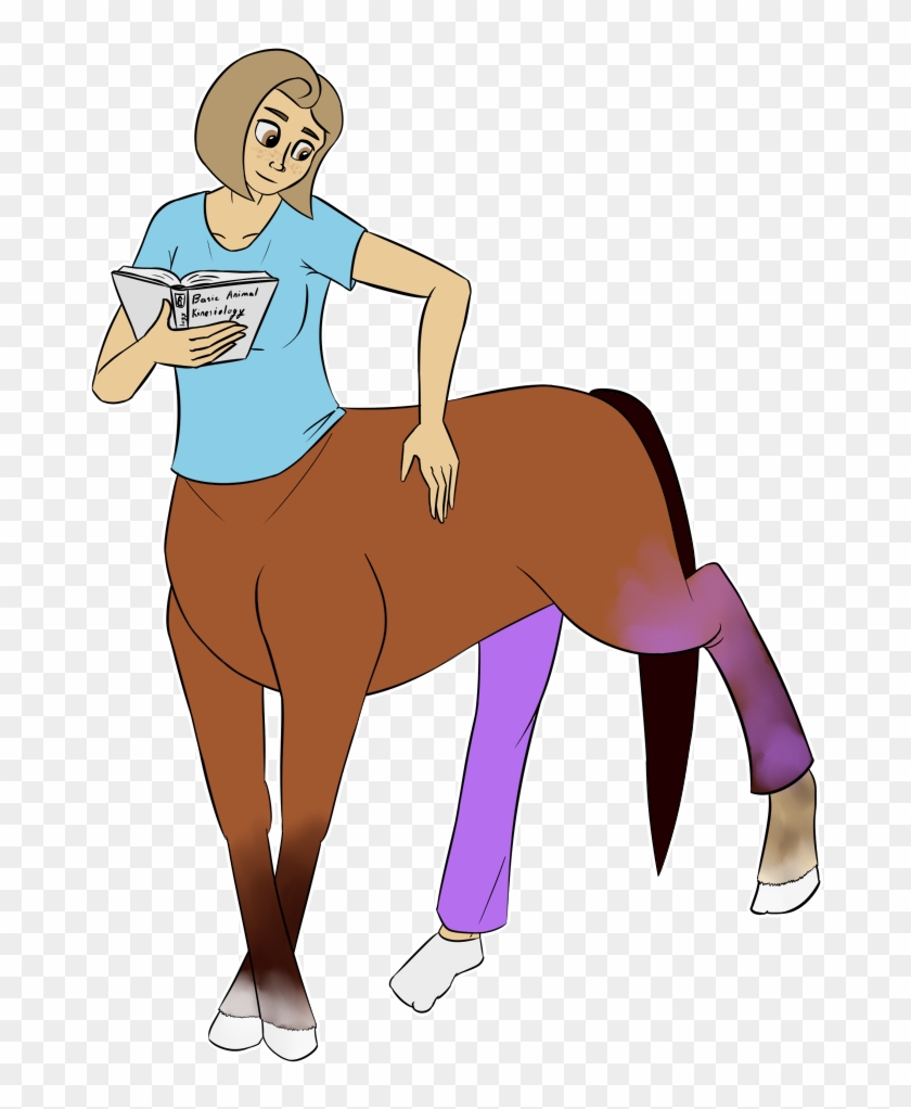 Introduction To Centaur Anatomy - Centaur Anatomy #1300137