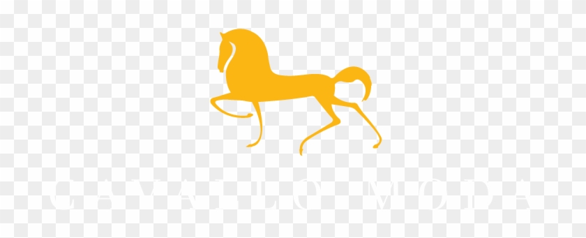 Cavallo Moda Uses Italian Leather, 100% Silk, Cashmere - Cavallo Moda Uses Italian Leather, 100% Silk, Cashmere #1300143