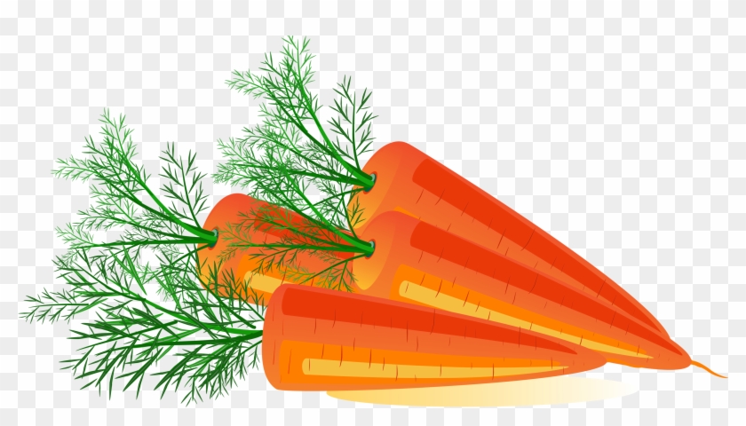 Carrot Png Image - Carrot #1300173