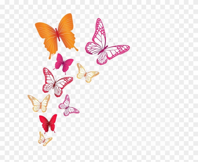 Butterflies Png Image Background - Butterflies Png - Free Transparent PNG  Clipart Images Download
