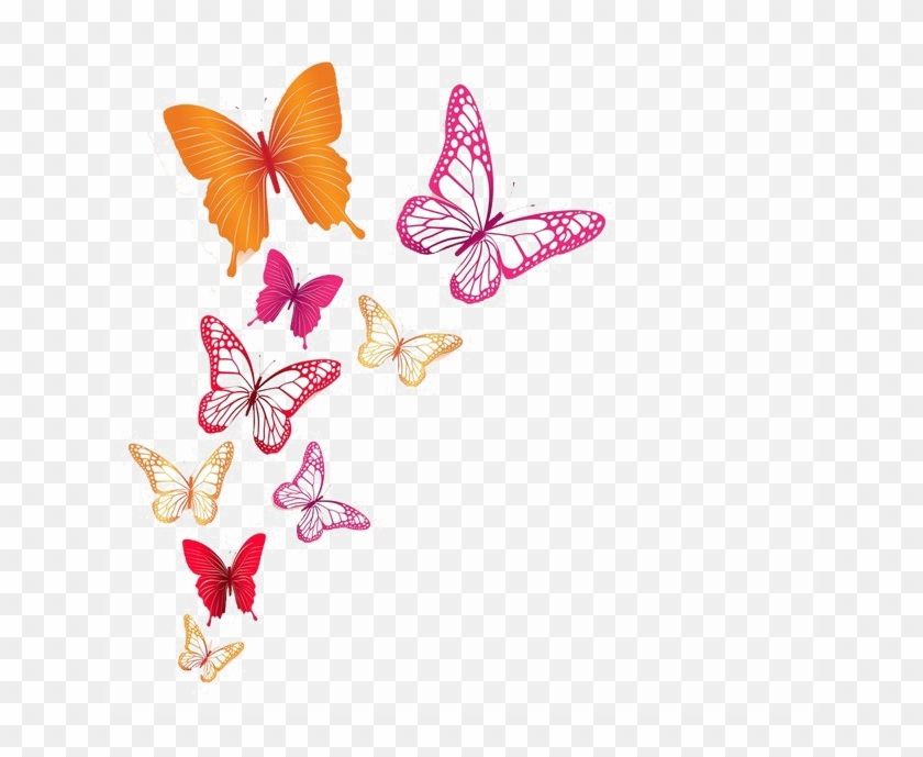 Butterflies Png Image Background - Butterflies Png #1300187