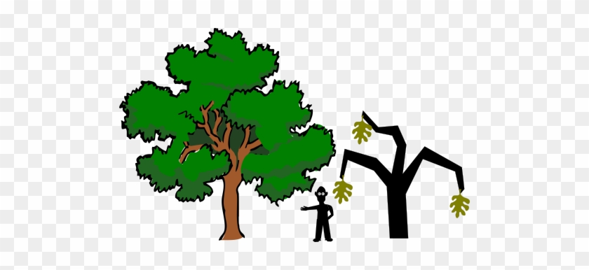 If It Was An Actual Tree, He Helped The Kids Build - Oak Tree Cartoon #1300242