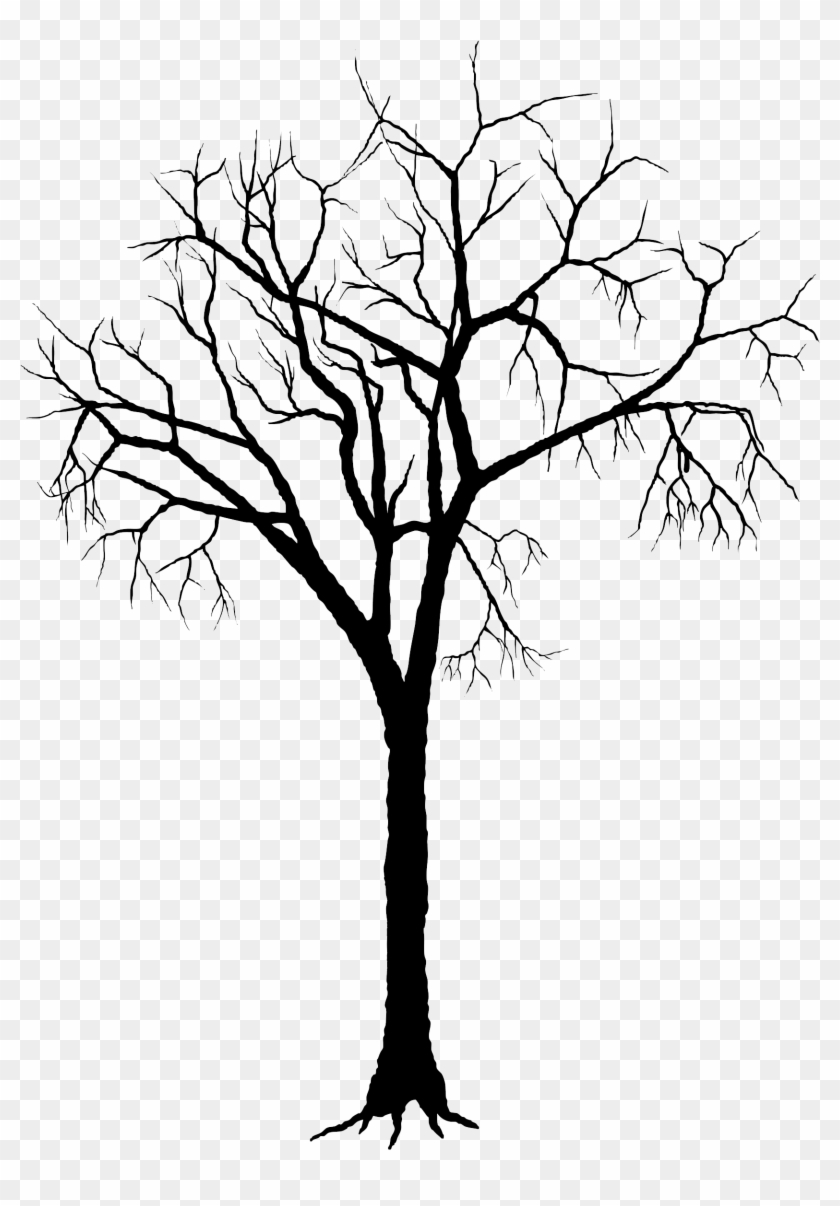 Qr0suqqx Tree Branches - Dead Tree Silhouette Png #1300245
