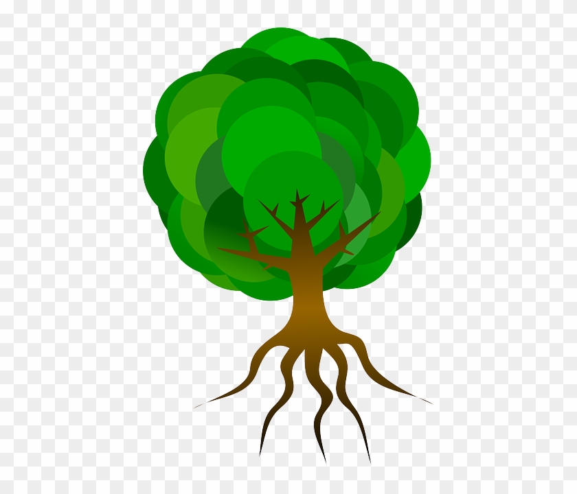 Nature Tree, Branches, Roots, Skeleton, Plant, Leaves, - Cartoon Tree With Roots #1300246