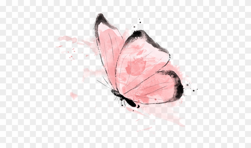 Croquis Animal Papillon 02 Encre Rose - Celastrina #1300257