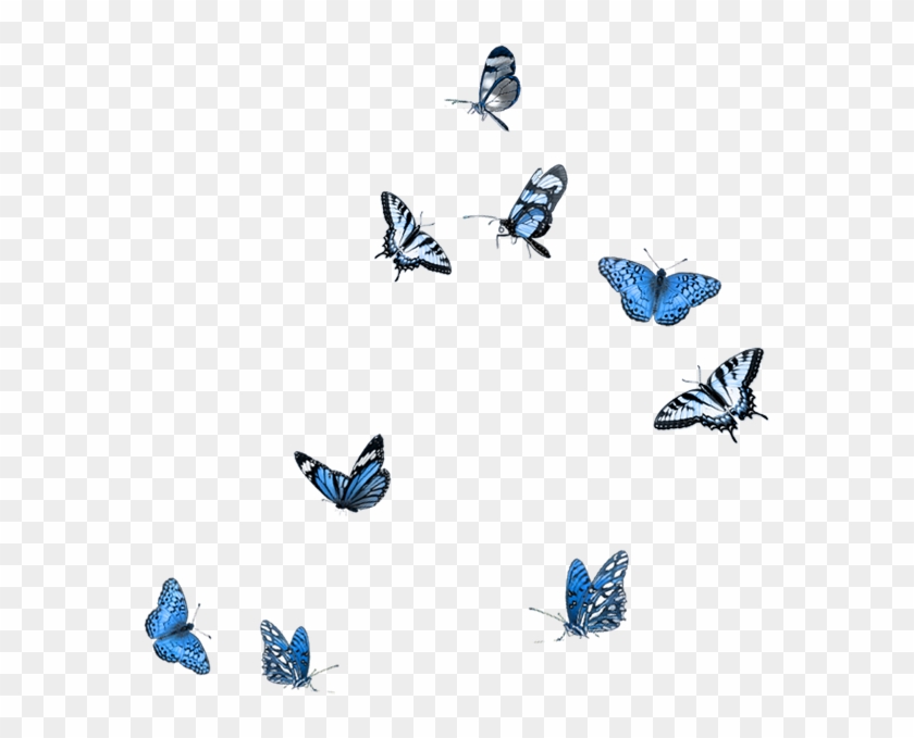Butterfly Clip Art - Papillon Bleu Png #1300263