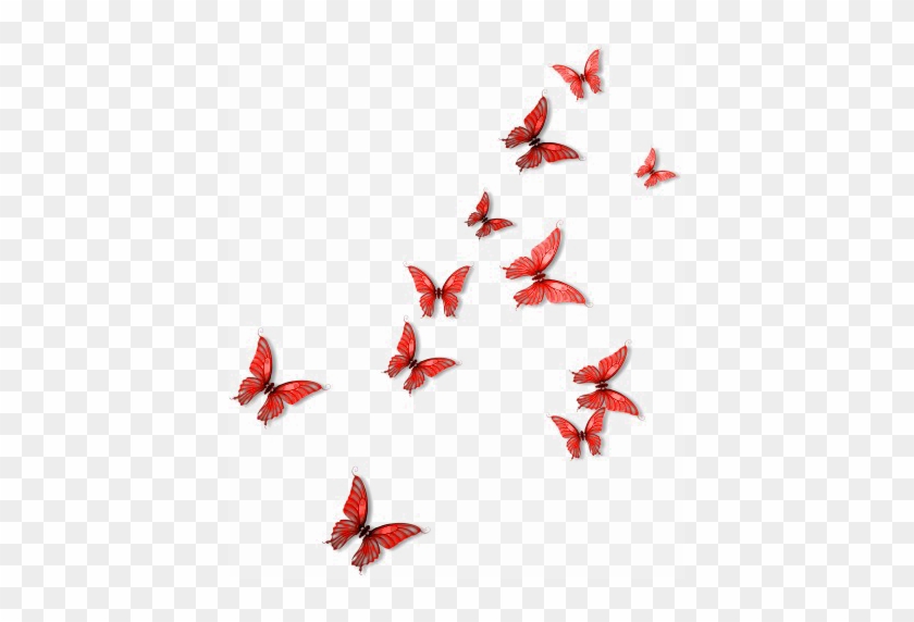 Red Butterfly Png Picture - Red Butterflies Png #1300265