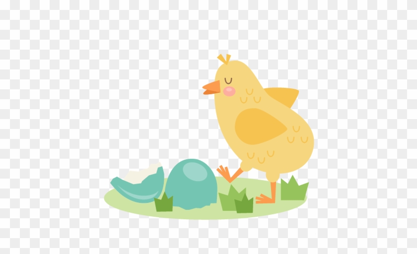 Baby Chick Svg Cuts Scrapbook Cut File Cute Clipart - Baby Chick Svg Cuts Scrapbook Cut File Cute Clipart #1300326