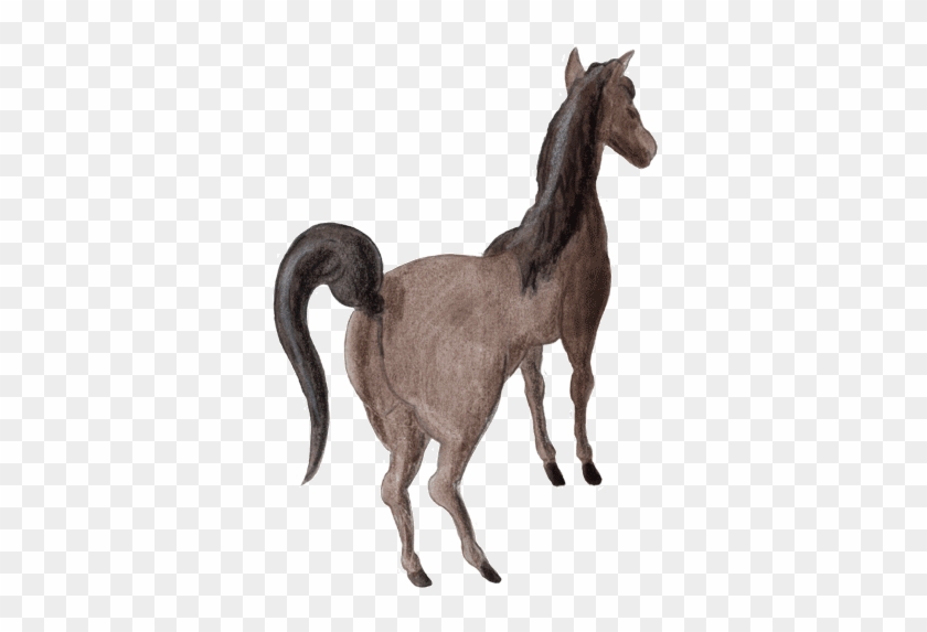 Pferd - Clip Art #1300349