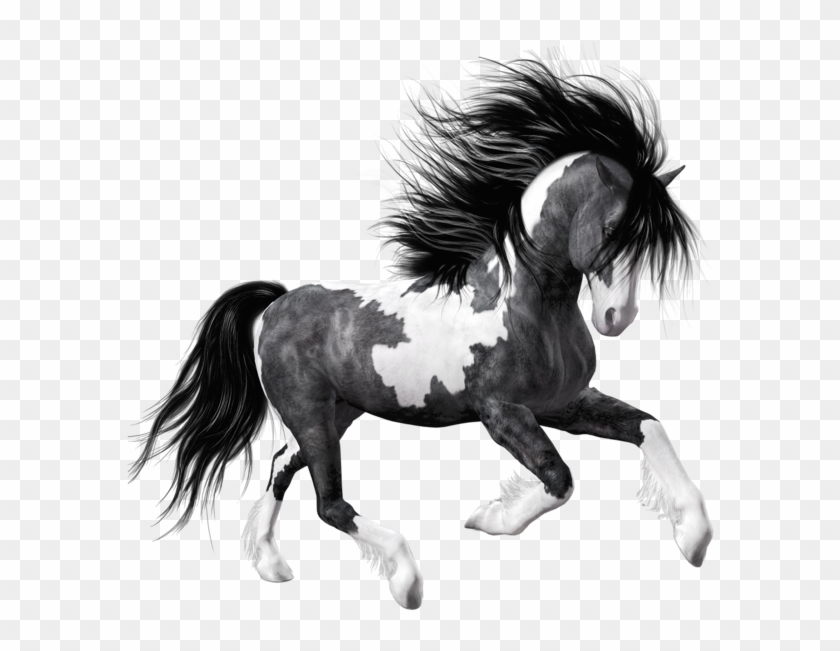 White Black Horse Png Clipart Picture - Black And White Horse Png #1300364