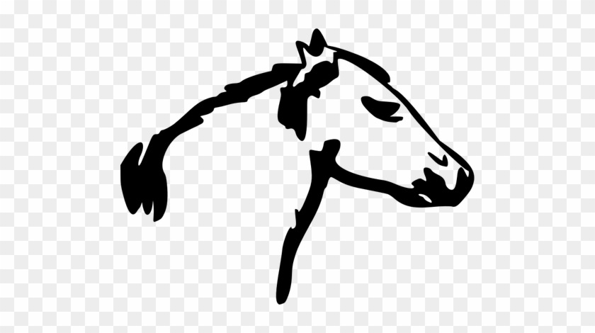 Pferd Kopf Umriss Vektor-bild - Horse Head Vector Transparent #1300369