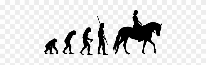 Evolution Pferd Frau Auf Dein T-shirt - Usa Decals4you | Popular Game Wall Stickers Evolution #1300380