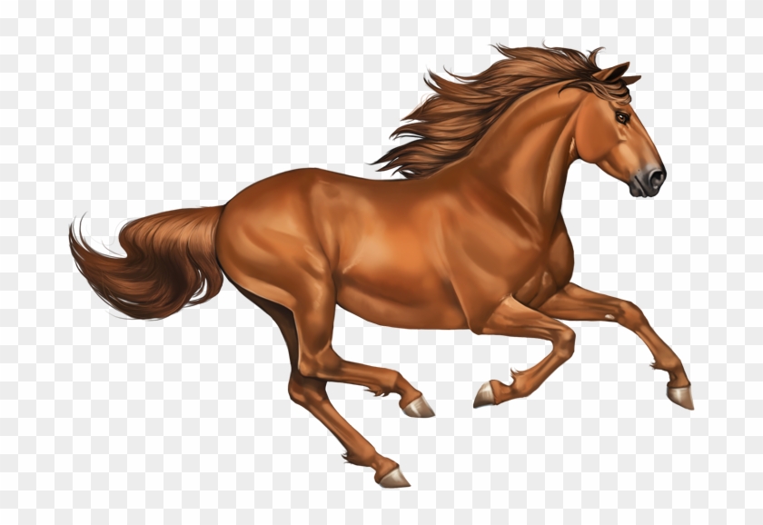 Sorrel - Chestnut Horse Png #1300494