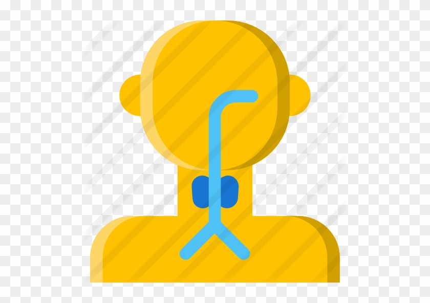 Endocrinology Free Icon - Endocrine System #1301030