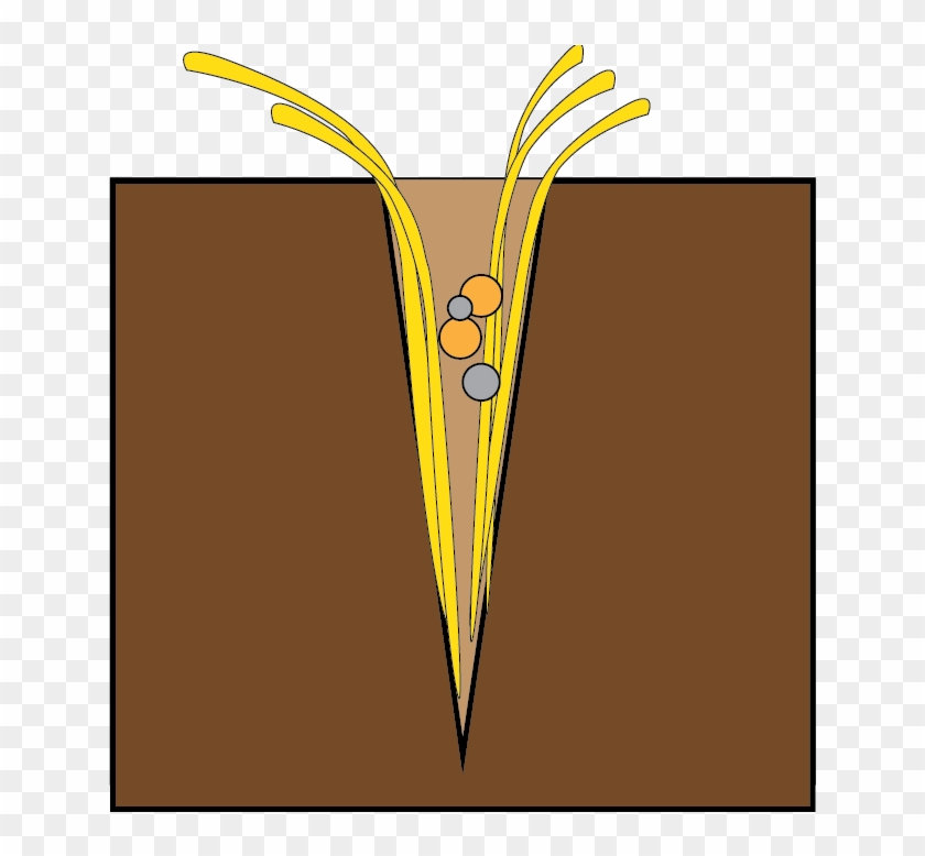 With The Novag System, The Seeds Are Already Covered - Drinking Straw #1301262