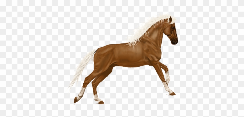 Horse Art Digital Artwork Horse Horse Hors - Horse #1301320