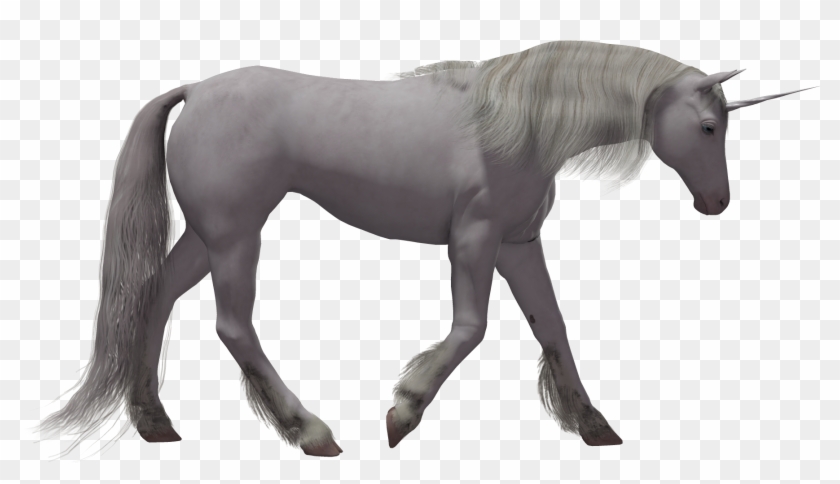 Unicorn Horse Transparency And Translucency - Licorne Qui Vole Png #1301336