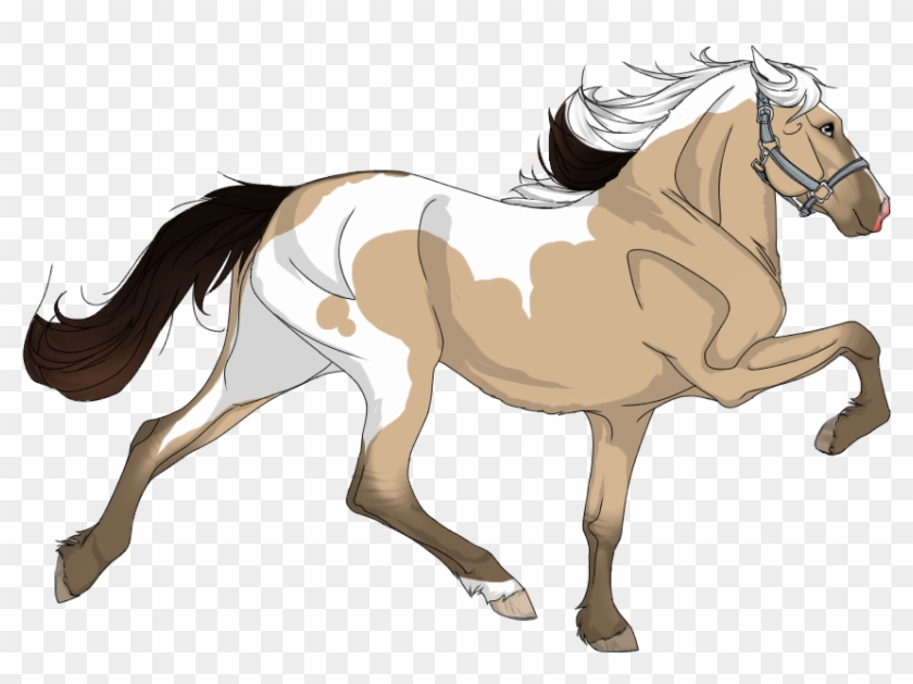 View Topic - Stallion #1301343