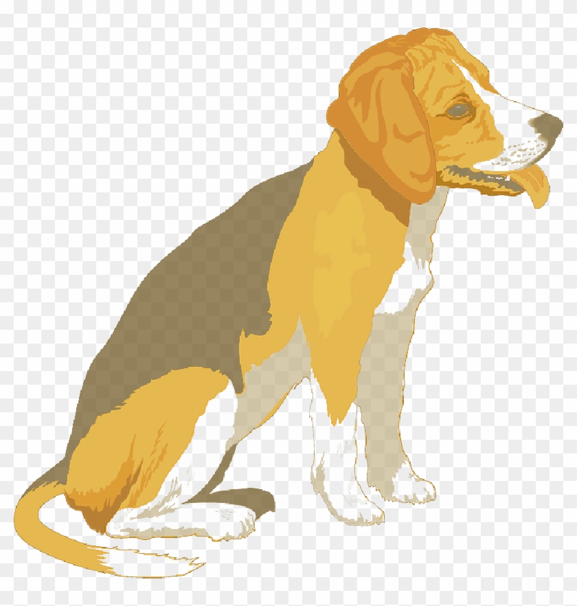 Black, Yellow, Dog, Beagle, Pet, Animal, Mammal, Fur - Cafepress Beagle Iphone 7 Plus Tough Case #1301417