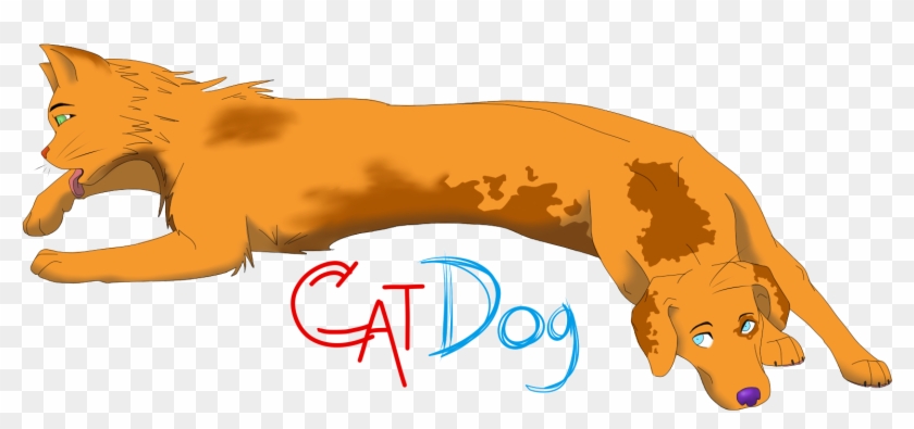 Cat Lion Dog Mammal Paw - Hippopotamus #1301426