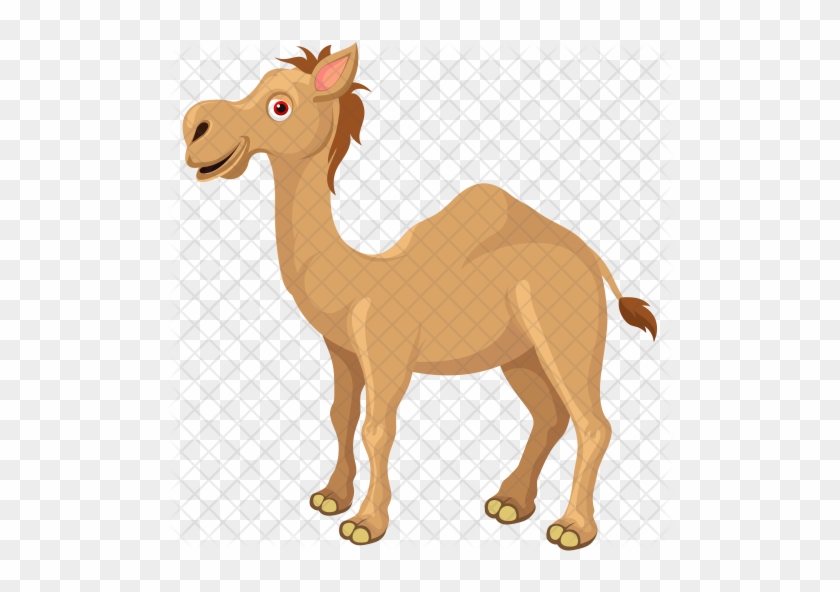Camel Icon - Camel #1301428