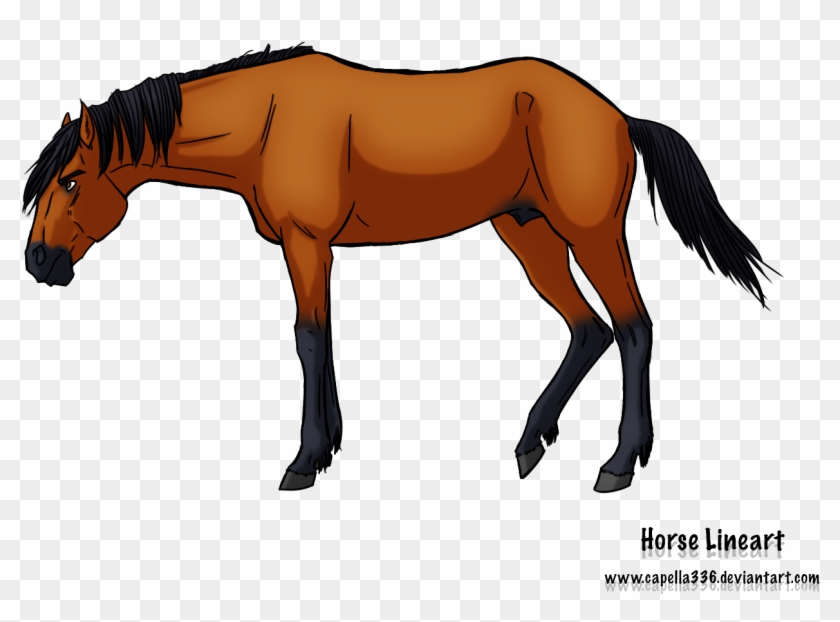 Free Horse Lineart Psd - Deviantart Stallion #1301477
