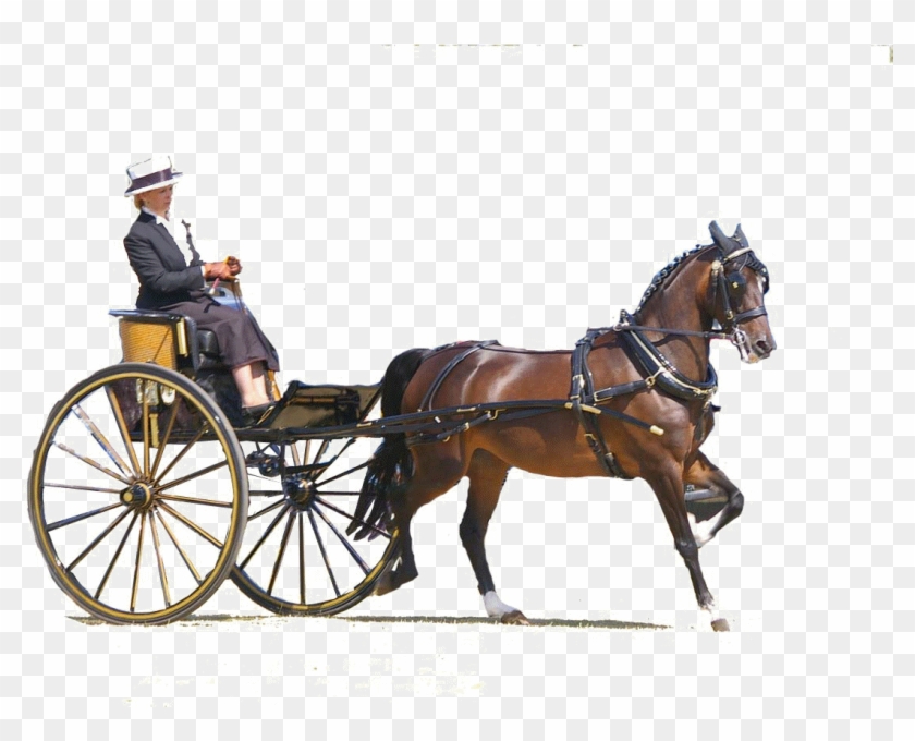 By Kind Permission Of Broughton Town Council - Horse Carrige Gif Transparent #1301682