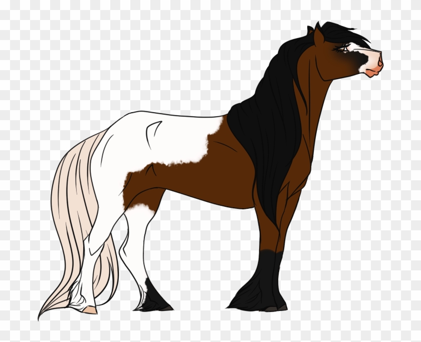 Mustang Stallion Foal Mare Colt - Stallion #1302185