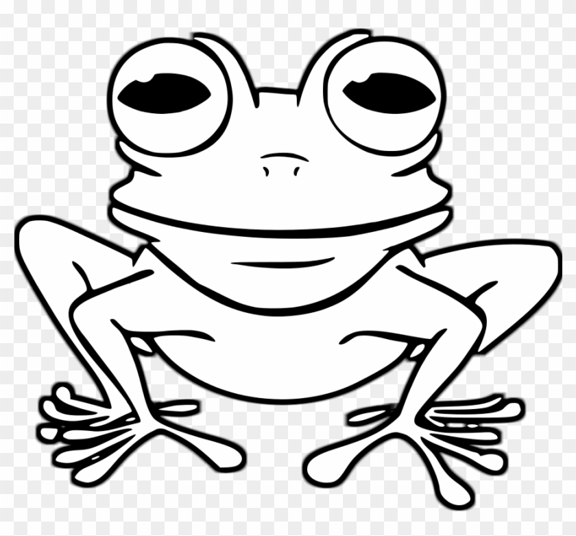 Frog - - Anaxyrus #1302214