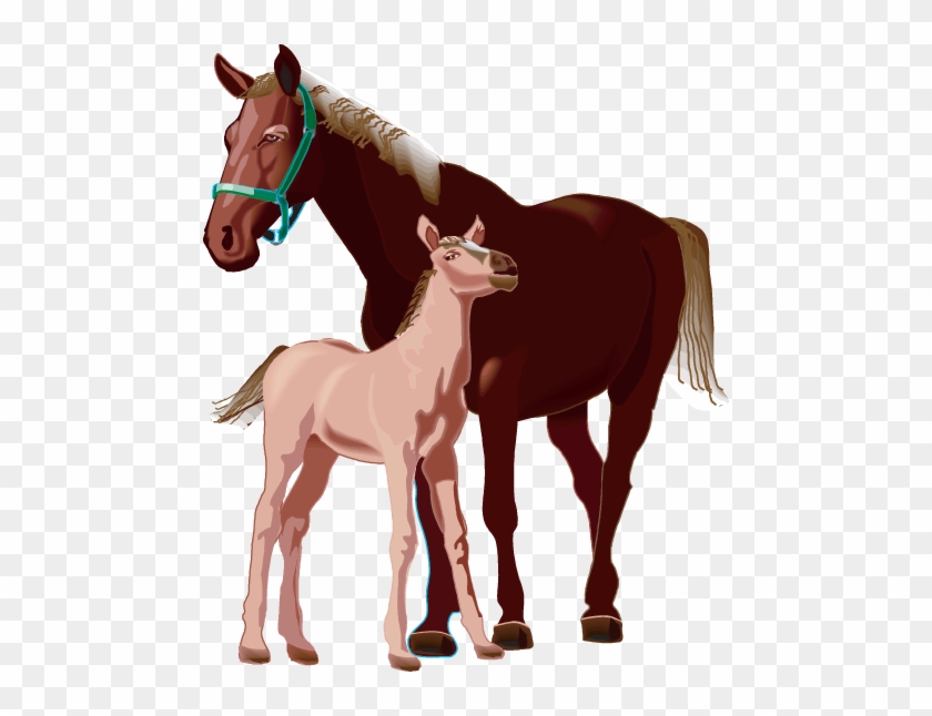 Horses - Horse #1302435