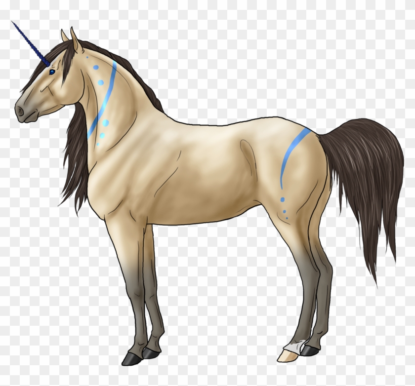 Horse galloping sketch portrait Royalty Free Vector Image