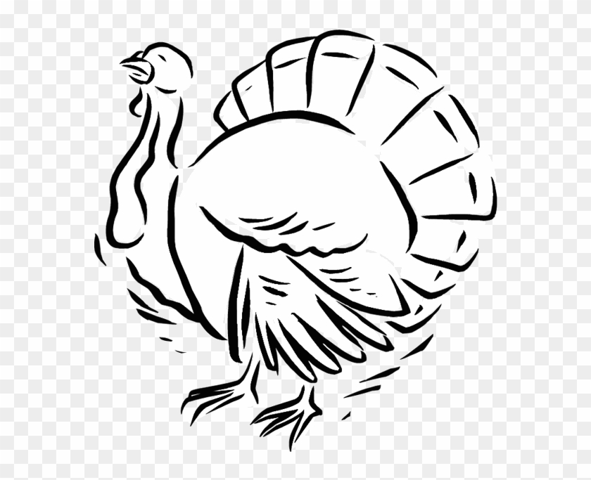 Turkey Coloring Page - Turkey #1302707